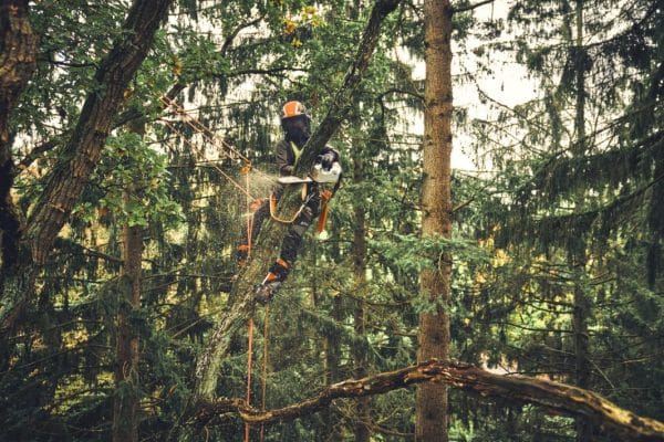 img 2025 11 13T101533.530