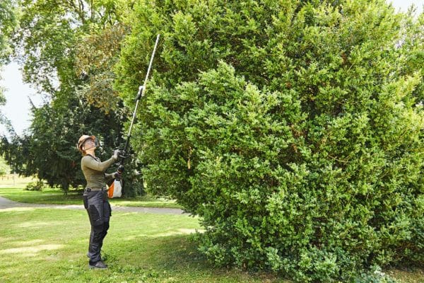 img 2025 11 18T144716.491