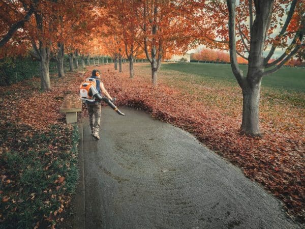 img 2025 11 24T151629.106