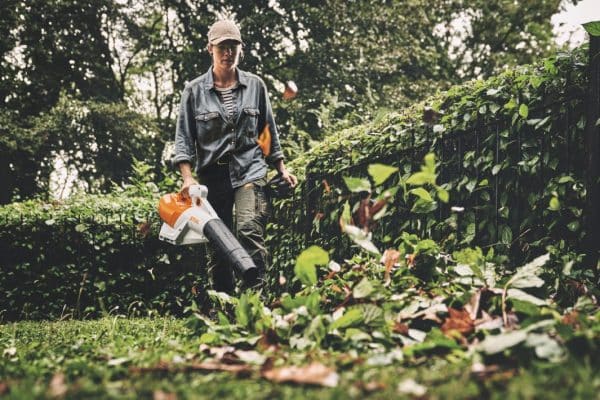 BGA 250 4 img 2025 11 24T160343.314