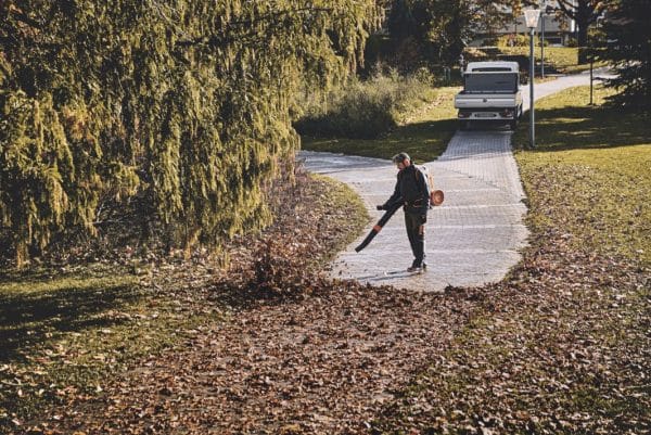 BGA 300 6 img 2025 11 24T160646.056