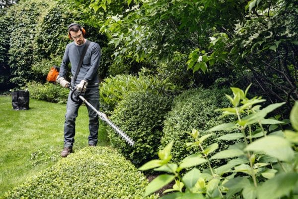 img 2025 11 25T122042.834