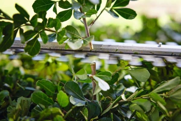 img 2025 11 28T151429.315