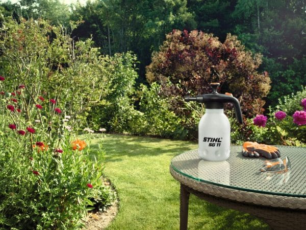 img 2025 12 19T103527.262