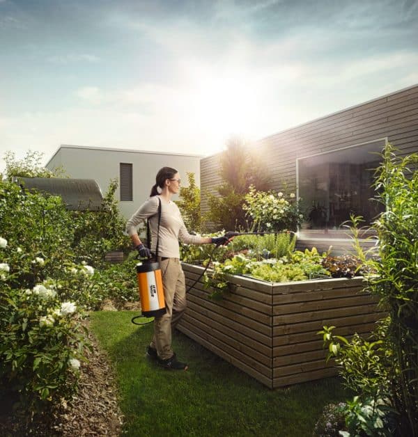 img 2025 12 19T103910.024