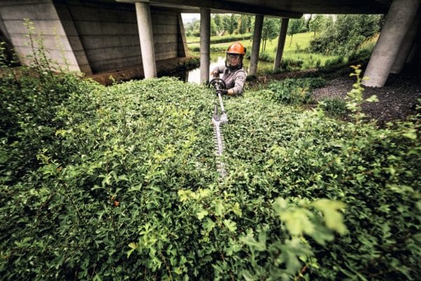 img 2026 01 21T113435.767