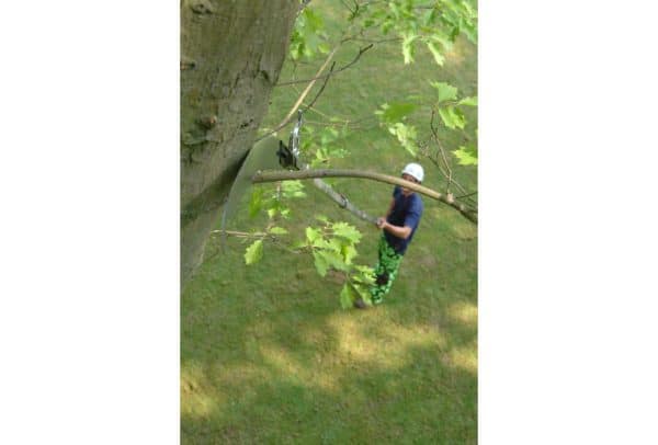 hayauchi hookfox actie 4